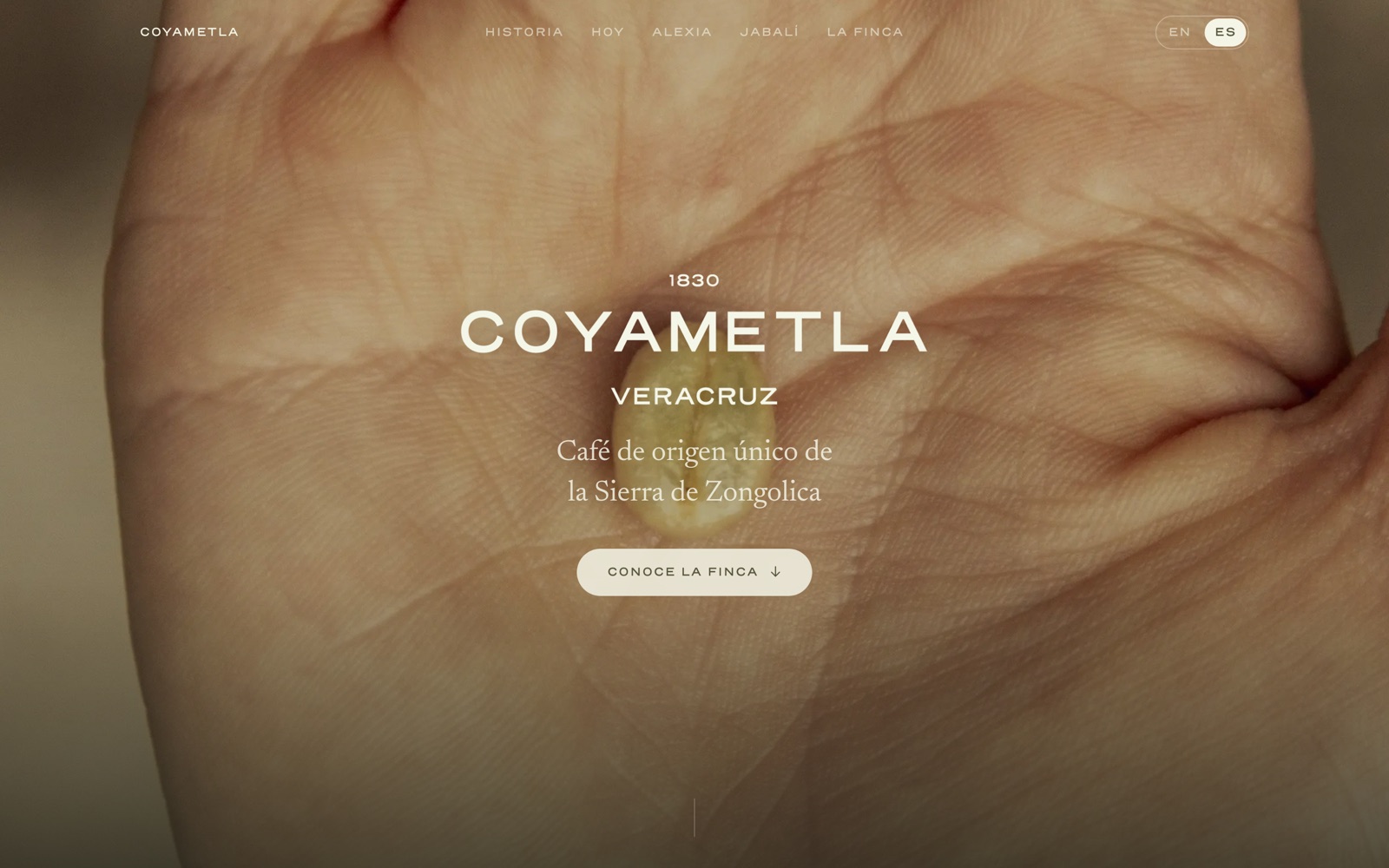 La portada de Finca Coyametla: la mano abierta con el grano de café